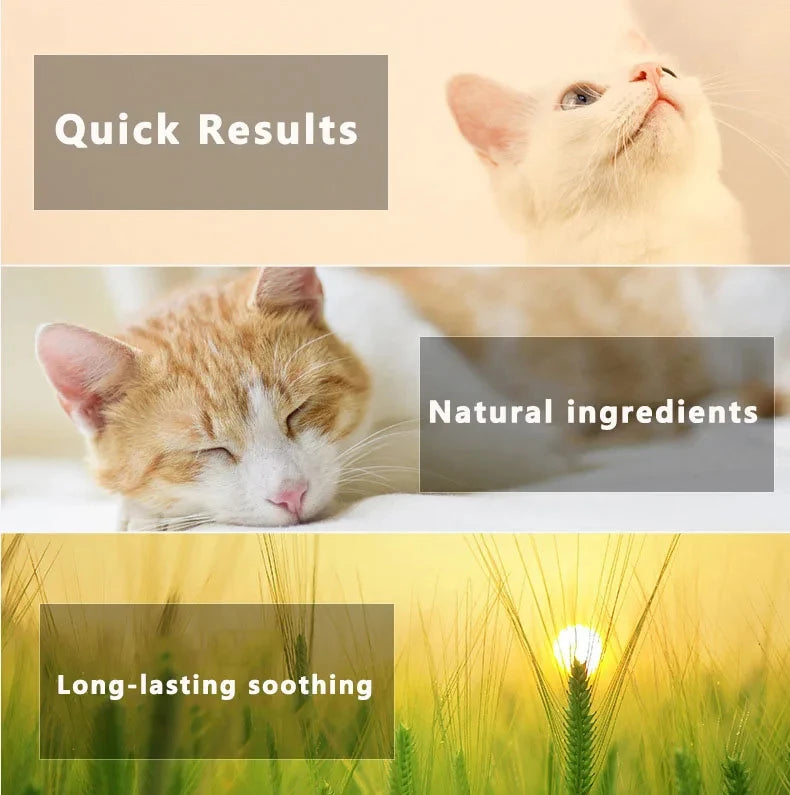 Calming Collar for Cats Pet Calming Pheromone Collar for Cats Dogs Calming Collar for Anxiety Effective Relieve Anxiety Stress